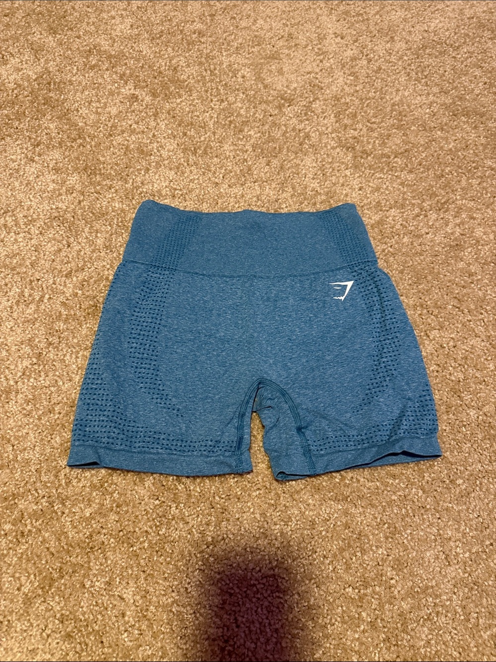 Gymshark Teal Seamless High-Rise Bike Shorts
